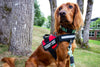 Dog Anxiety Calming Vest