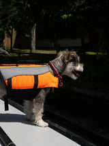 Dog Anxiety Calming Vest view 2